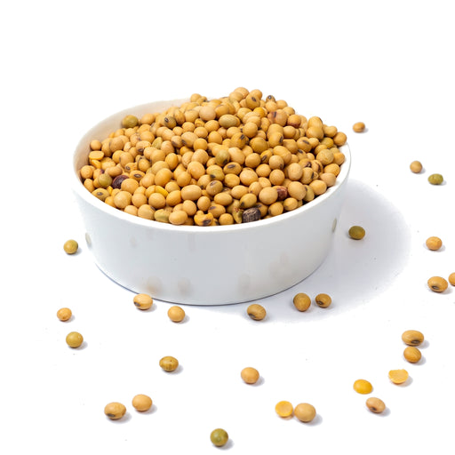 Sabit Soya Beans