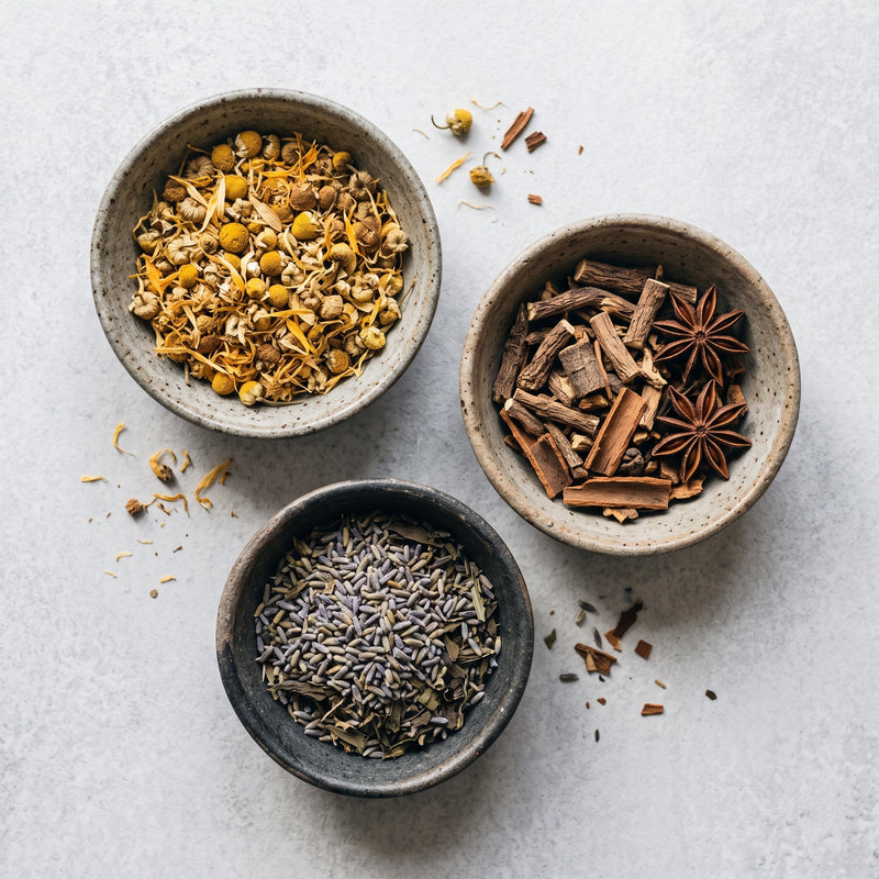 پنسار - 𝐀𝐩𝐨𝐭𝐡𝐞𝐜𝐚𝐫𝐲 - (Pansaar)