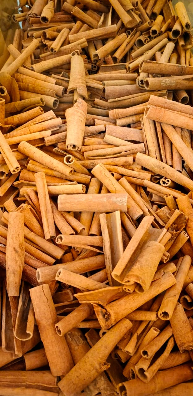 Daalchini Sabat 250 gm (Vietnam) ثابت دار چینی