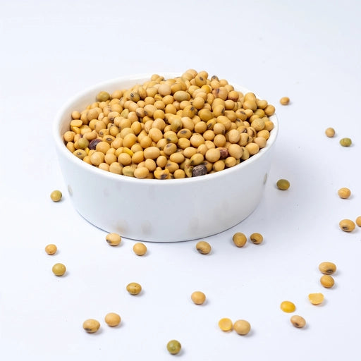 Soya Beans Whole سویا بین ثابت Soya Beans Sabat